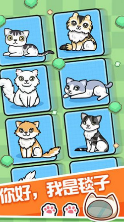 跑跑云养猫